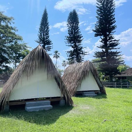 Terra Glamping Hotel San Pedro  Ngoại thất bức ảnh